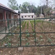 Image of Kitchen garden developed under Bishalgarh ICDS  project