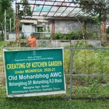 Image of Kitchen garden of Old Mohanbhog AWC of Mohanbhog sector under Melaghar ICDS Project.