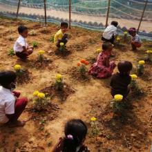 Image 2 - Nurturing kitchen garden by children under Kathalia ICDS project